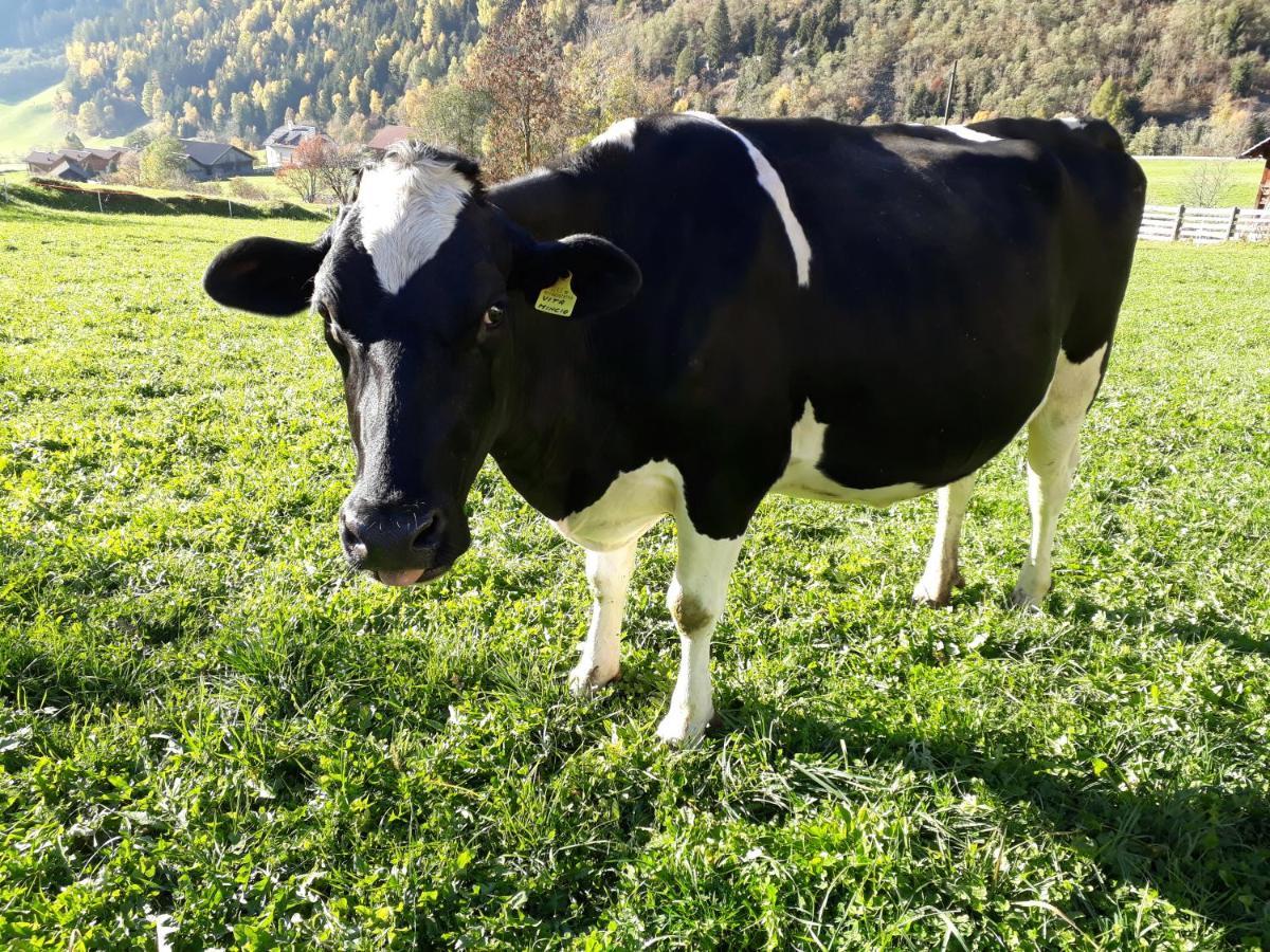 Unterreinischhof Villa Anterselva di Mezzo Dış mekan fotoğraf