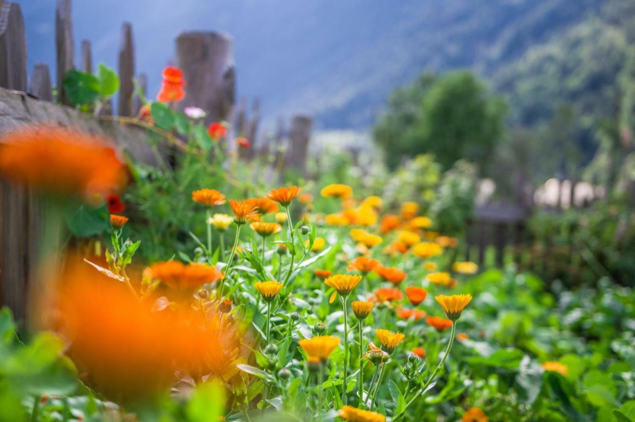 Unterreinischhof Villa Anterselva di Mezzo Dış mekan fotoğraf